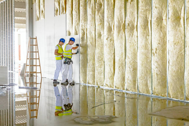 Best Commercial Insulation in South Beloit, IL